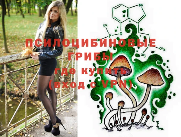 прущие крисы Абинск